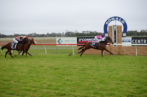 ROYAL SNITZEL BOLTS IN ON DEBUT..